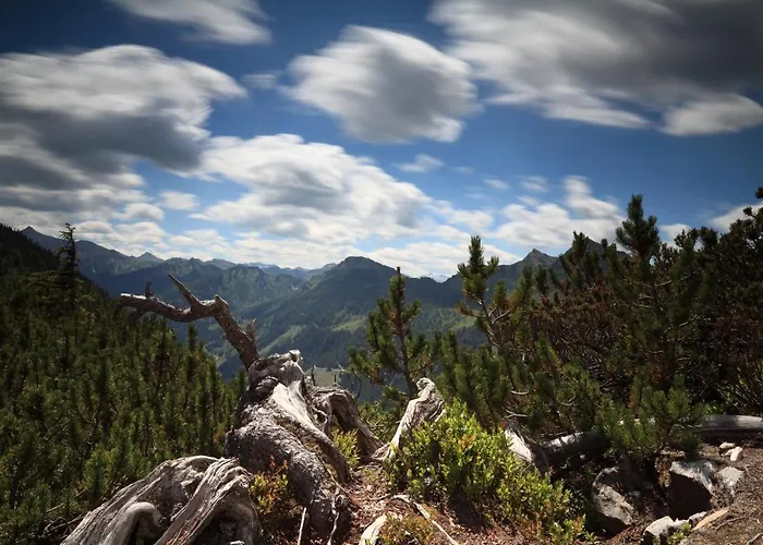 Johann Hotell Schladming